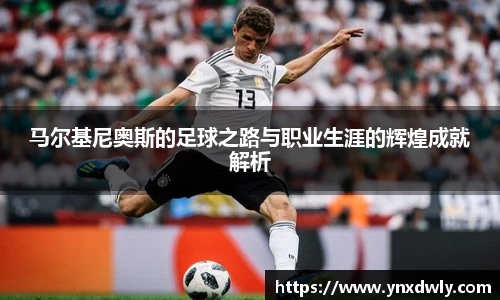 jinnianhui金年会