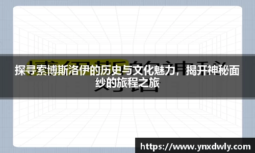 金年会体育