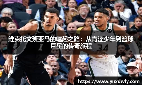 金年会
