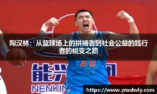 陶汉林：从篮球场上的拼搏者到社会公益的践行者的蜕变之路